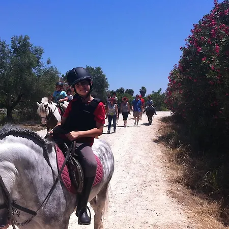 Ag Aguamarina 3 * Gandia